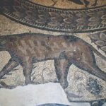 Roman Mosaic Tile vs Ceramic Tile