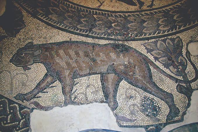 Roman Mosaic Tile vs Ceramic Tile